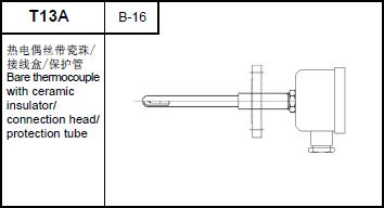 T13A