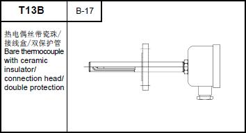 T13B