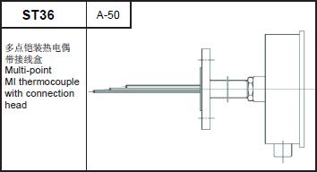 ST36 multi-point MI thermocouple with connection head