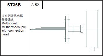 ST36B multi-point MI thermocouple with connection head