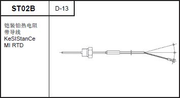ST02B MI RTD with lead cable