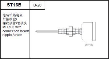 ST16B RTD with connection head /nipple/ union