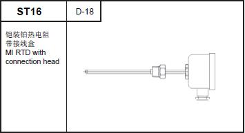 ST16 MI RTD with connection head