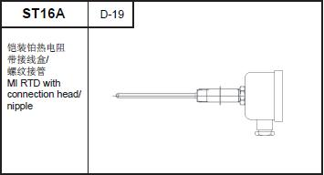 ST16A MI RTD with connection head/nipple