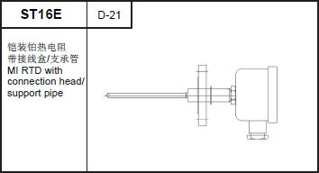 ST16E MI RTD with connection head/support pipe