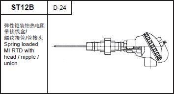 ST12B Spring loaded MI RTD with head/nipple/union