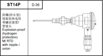 ST14P Explosion-proof (hydrogen protection) MI RTD with nipple/union