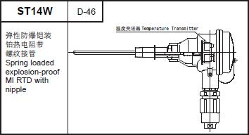 ST14W explosion-proof MI RTD with nipple