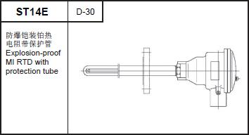 ST14E Explosion-proof MI RTD with protection tube