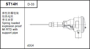 ST14H explosion-proof MI RTD with support tube